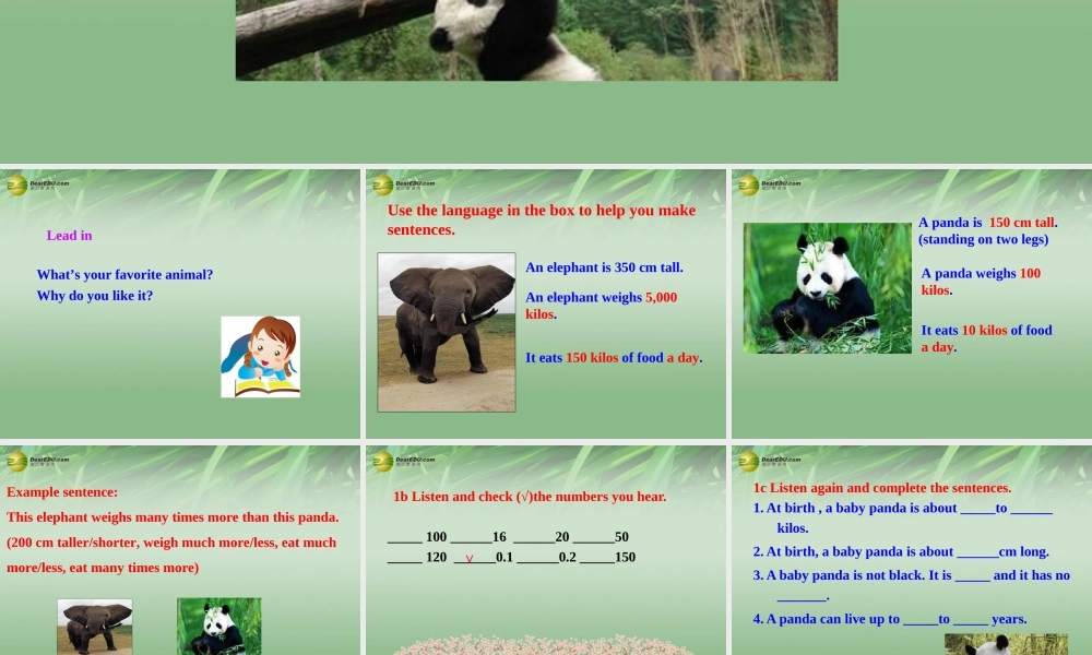 八年级英语下册 Unit 7 What's the highest mountain in the world Section B课件 .ppt