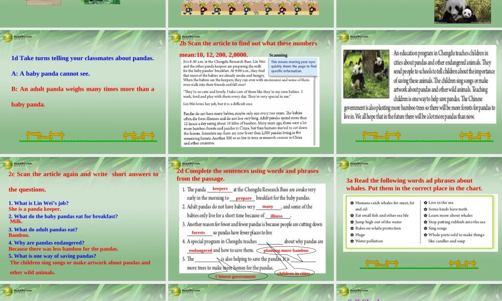 八年级英语下册 Unit 7 What's the highest mountain in the world Section B课件 .ppt