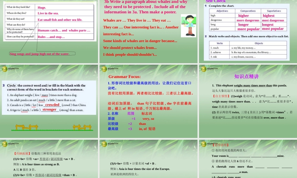 八年级英语下册 Unit 7 What's the highest mountain in the world Section B课件 .ppt