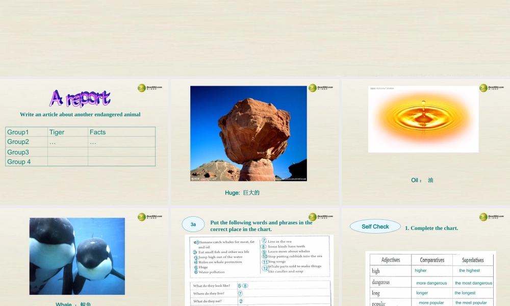 八年级英语下册 Unit 7 What’s the highest mountain in the world Period 4课件 .ppt