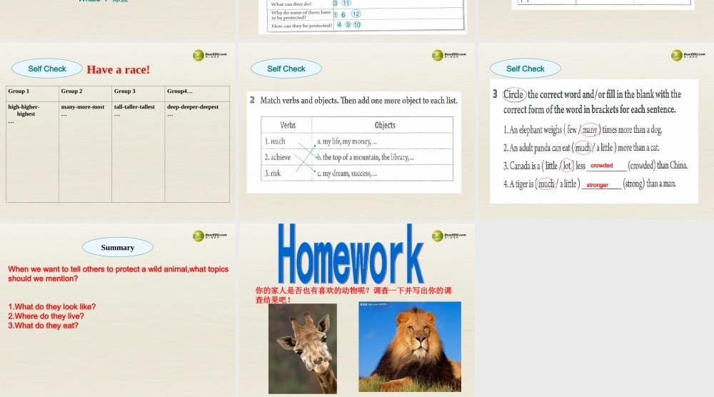 八年级英语下册 Unit 7 What’s the highest mountain in the world Period 4课件 .ppt
