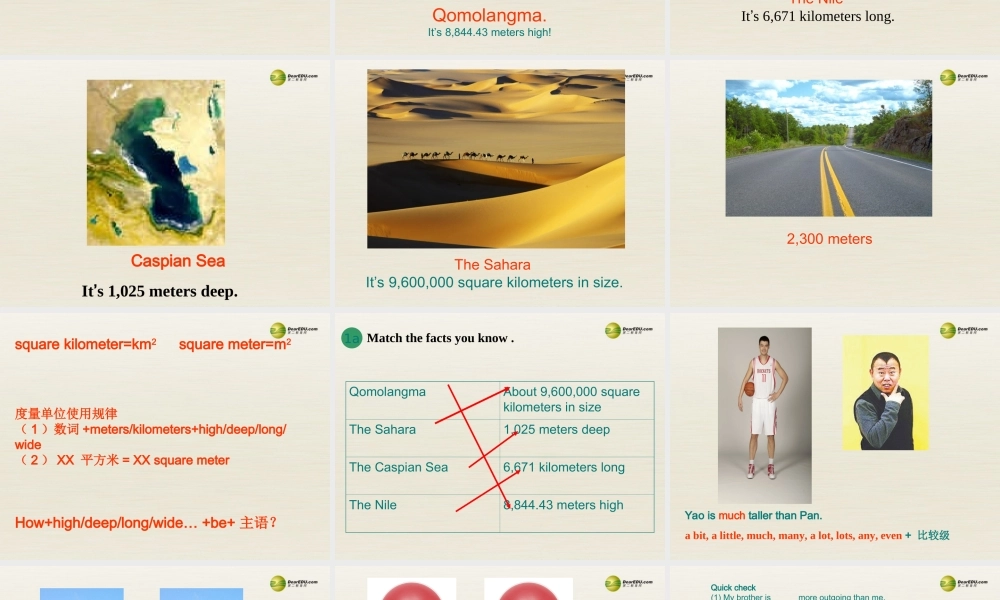 八年级英语下册 Unit 7 What’s the highest mountain in the world Period 1课件 .ppt