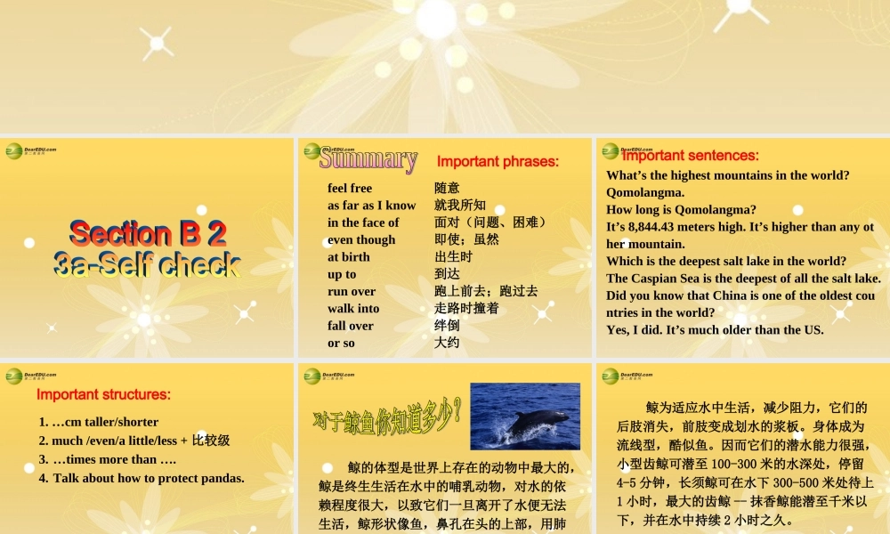 八年级英语下册 Unit 7 What’s the highest mountain in the world？Section B(3a-Self check)精品课件 .ppt