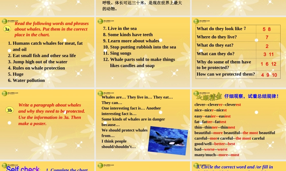 八年级英语下册 Unit 7 What’s the highest mountain in the world？Section B(3a-Self check)精品课件 .ppt