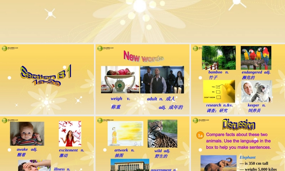 八年级英语下册 Unit 7 What’s the highest mountain in the world？Section B(1a-2e)精品课件 .ppt