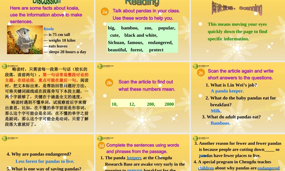 八年级英语下册 Unit 7 What’s the highest mountain in the world？Section B(1a-2e)精品课件 .ppt