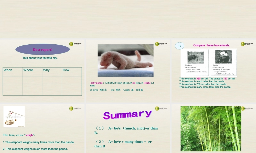 八年级英语下册 Unit 7 What’s the highest mountain in the world Period 3课件 .ppt