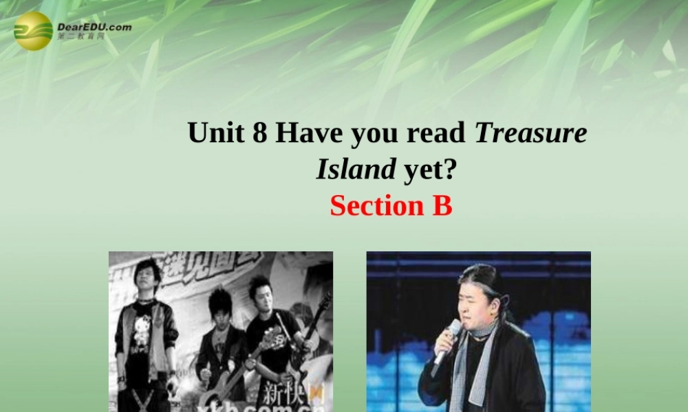 八年级英语下册 Unit 8 Have you read Treasure Island yet Section B课件 .ppt