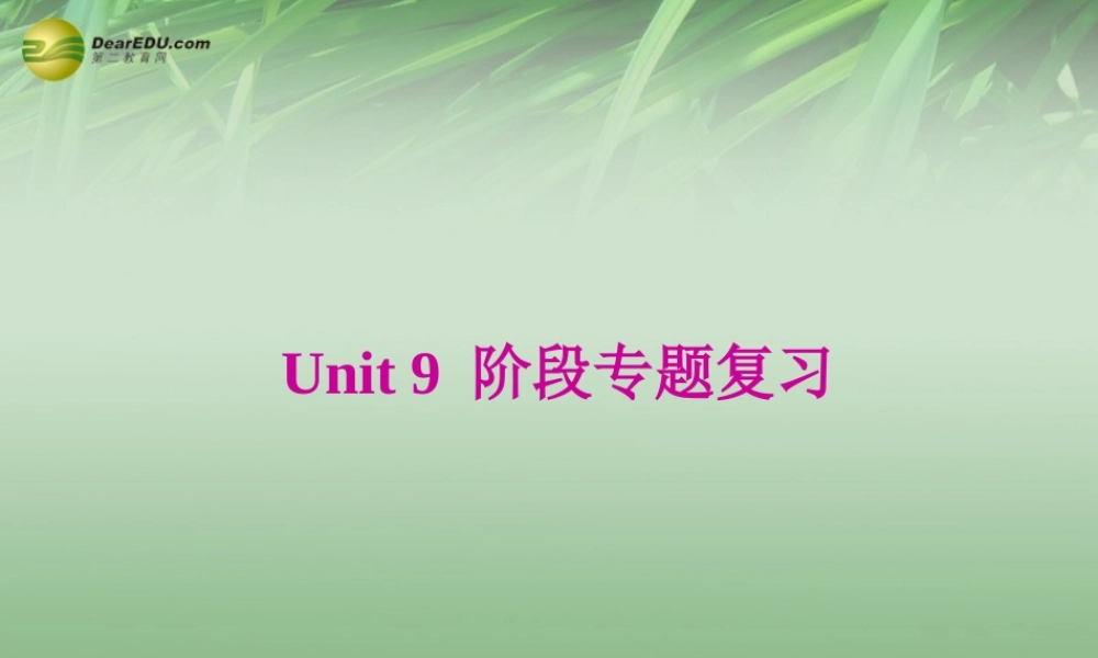 八年级英语下册 Unit 9 Have you ever been to a museum专题复习课件 .ppt