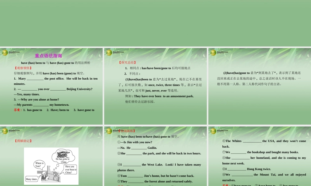 八年级英语下册 Unit 9 Have you ever been to a museum专题复习课件 .ppt