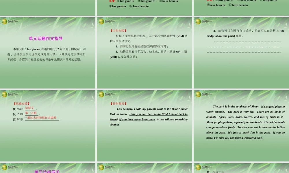 八年级英语下册 Unit 9 Have you ever been to a museum专题复习课件 .ppt