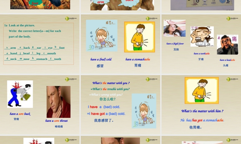 八年级英语下册 Unit1 Whats the matter全单元精美课件 .ppt