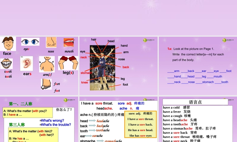 八年级英语下册《Unit 1 What’s the matter？》section A(1a-2d)课件 .ppt