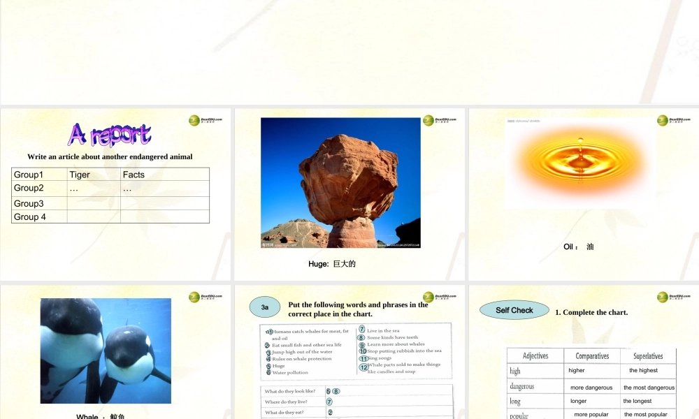 八年级英语下册《Unit 7 What’s the highest mountain in the world？》Section B 3a-3b（含Self Check）课件 .ppt
