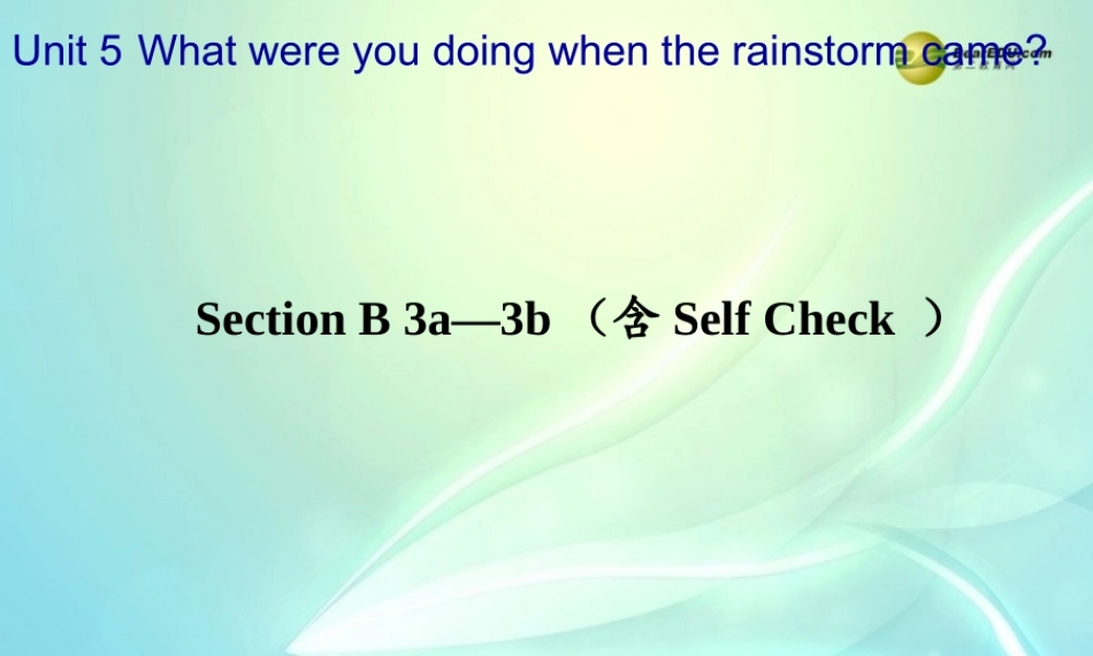 八年级英语下册《Unit 5 What were you doing when the rainstorm came？》Section B 3a-3b（含Self Check）课件 （新版）人教新目标版.ppt