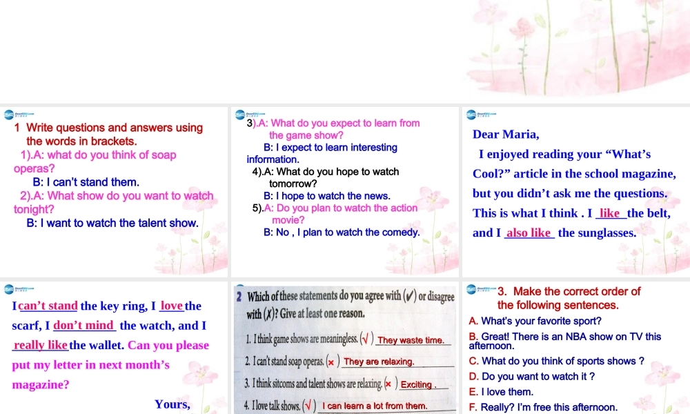 四川省宣汉县桃花初级中学八年级英语上册 Unit 5 Do you want to watch a game show B3课件.ppt