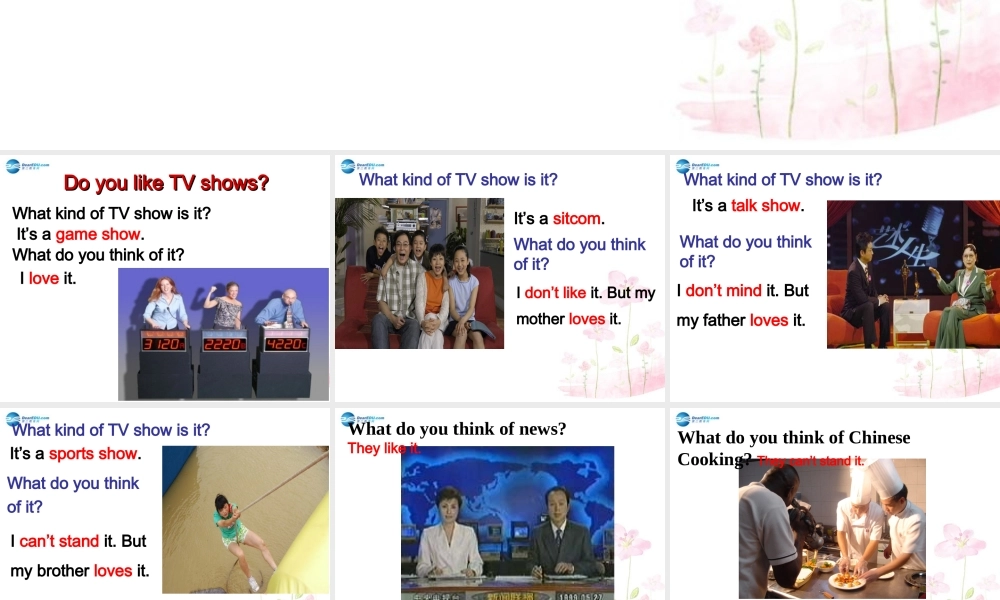 四川省宣汉县桃花初级中学八年级英语上册 Unit 5 Do you want to watch a game show B2课件.ppt