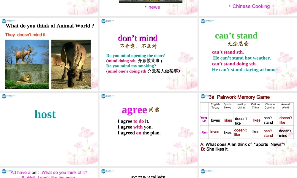 四川省宣汉县桃花初级中学八年级英语上册 Unit 5 Do you want to watch a game show B2课件.ppt