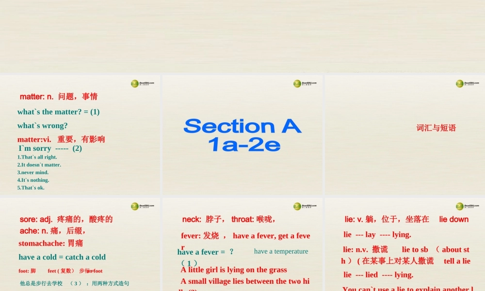 季八年级英语下册 Unit1 What's the matter Section A 1a-2e课件 .ppt