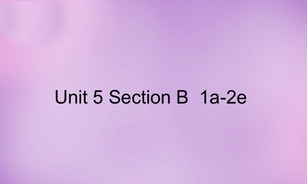 山东省无棣县第一实验学校八年级英语上册 Unit 5 Do you want to watch a game show Section B（1a-2e）课件.ppt