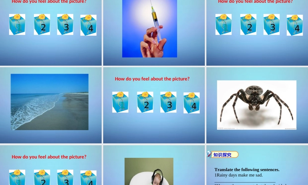 山东省滕州市滕西中学九年级英语全册 Unit 11 Sad movies make me cry Section A（1a-2d）课件.ppt