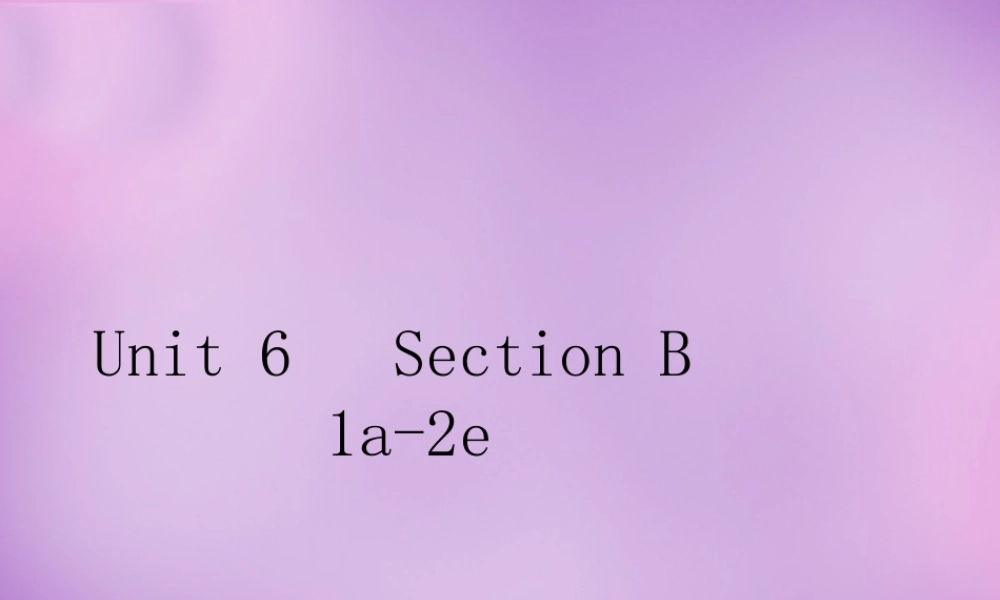 山东省无棣县第一实验学校八年级英语上册 Unit 6 I’m going to study computer science Section B（1a-2e）课件.ppt