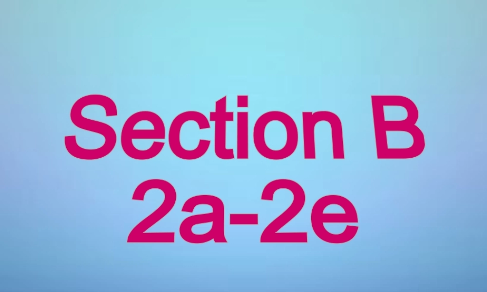 山东省滕州市滕西中学九年级英语全册 Unit 9 I like music that I can dance to Section B（2a-2e）课件.ppt