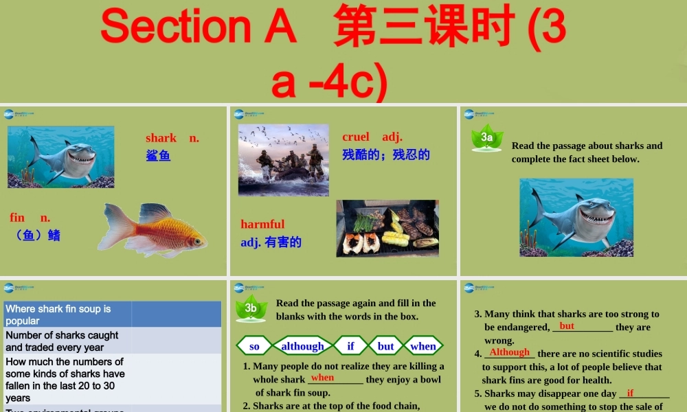 山东省邹平县实验中学九年级英语全册 Unit 13 We’re trying to save the earth（第3课时）课件.ppt