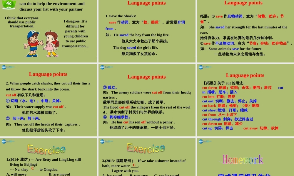 山东省邹平县实验中学九年级英语全册 Unit 13 We’re trying to save the earth（第3课时）课件.ppt