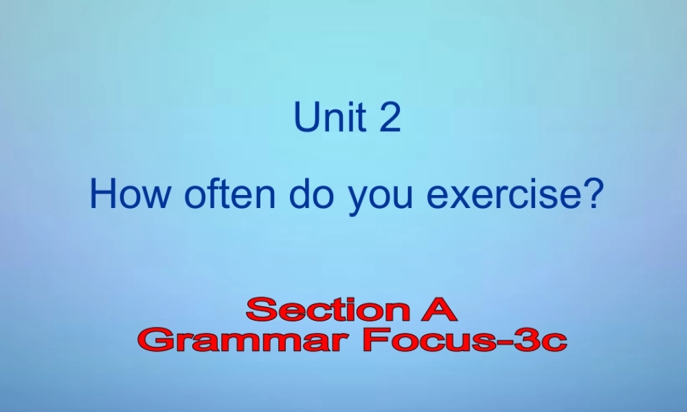 广东省东莞市石碣镇四海之星学校八年级英语上册 Unit 2 How often do you exercise Section A（Grammar Foucs-3c）课件.ppt