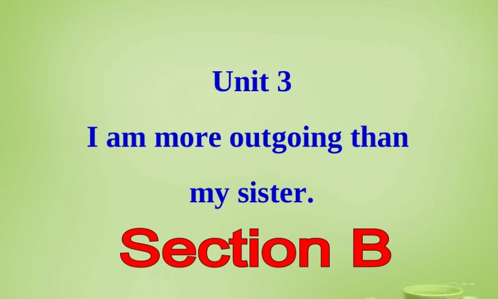 江西省上饶市铅山县私立瓢泉学校八年级英语上册 Unit 3 I’m more outgoing than my sister Section B课件.ppt