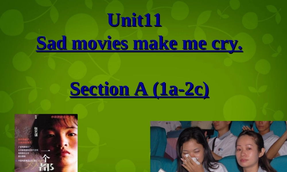 河北省东光县第二中学九年级英语全册 Unit 11 Sad movies make me cry Section A（1a-2c）课件.ppt