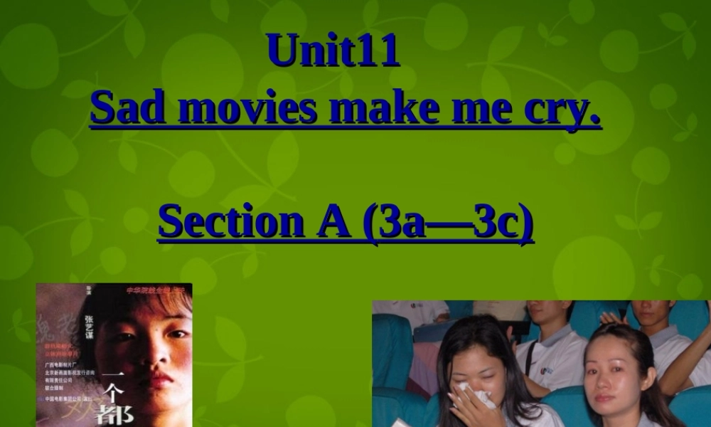 河北省东光县第二中学九年级英语全册 Unit 11 Sad movies make me cry Section A（3a-3c）课件.ppt