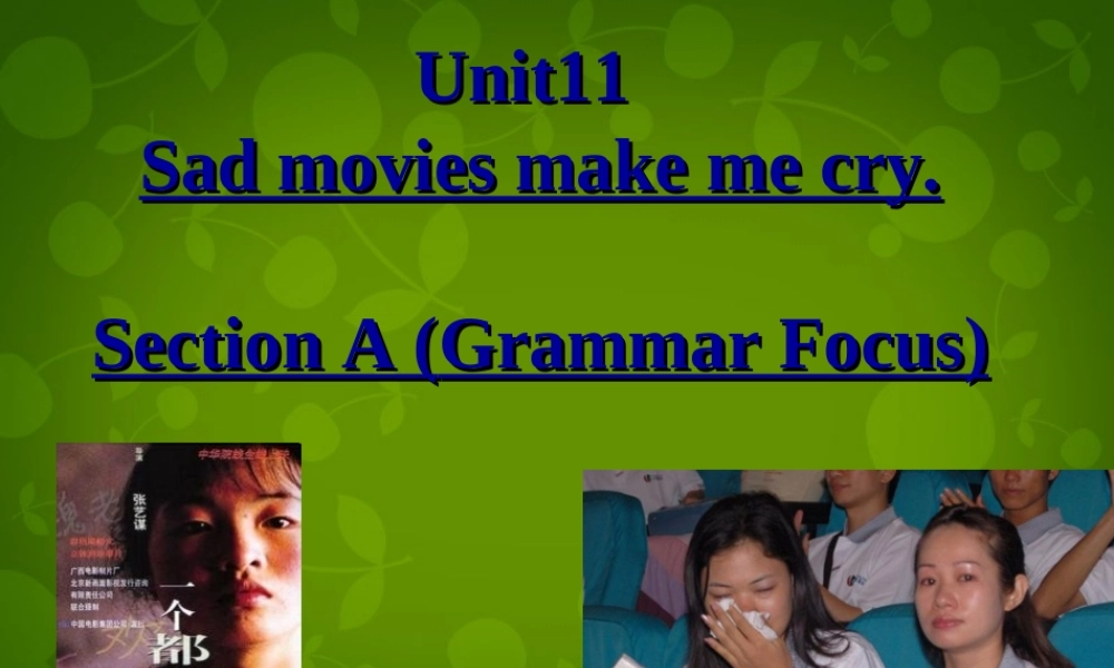 河北省东光县第二中学九年级英语全册 Unit 11 Sad movies make me cry Section A（Grammar Focus）课件.ppt