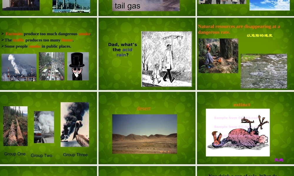 河北省东光县第二中学九年级英语全册 Unit 13 We’re trying to save the earth Section A（1a-3b）课件.ppt