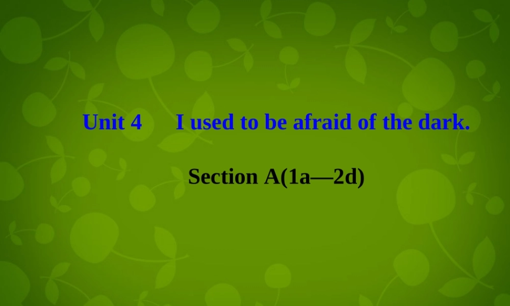 河北省东光县第二中学九年级英语全册 Unit 4 I used to be afraid of the dark Section A（1a-2d）课件.ppt