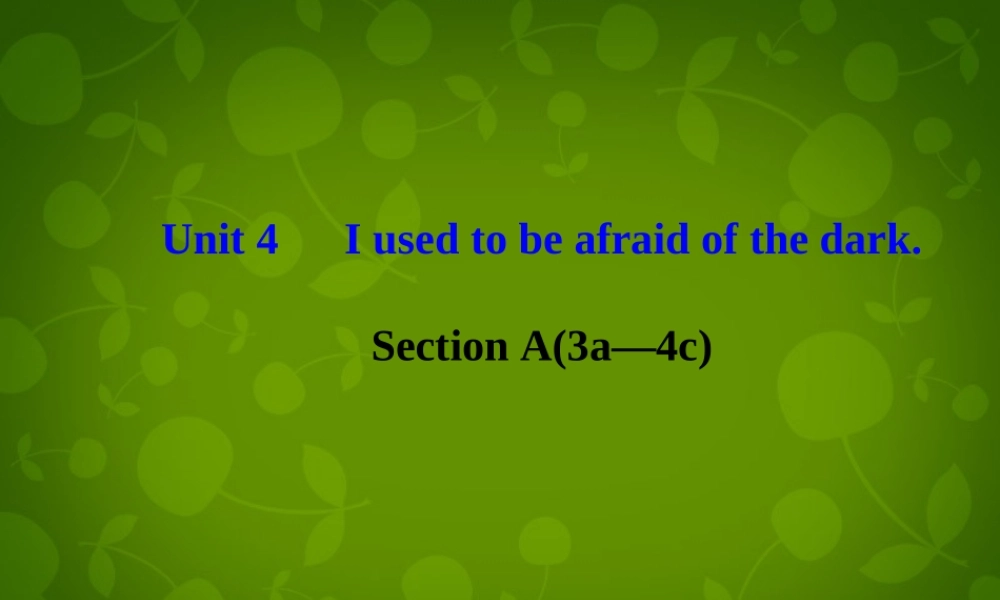 河北省东光县第二中学九年级英语全册 Unit 4 I used to be afraid of the dark Section A（3a-4c）课件.ppt