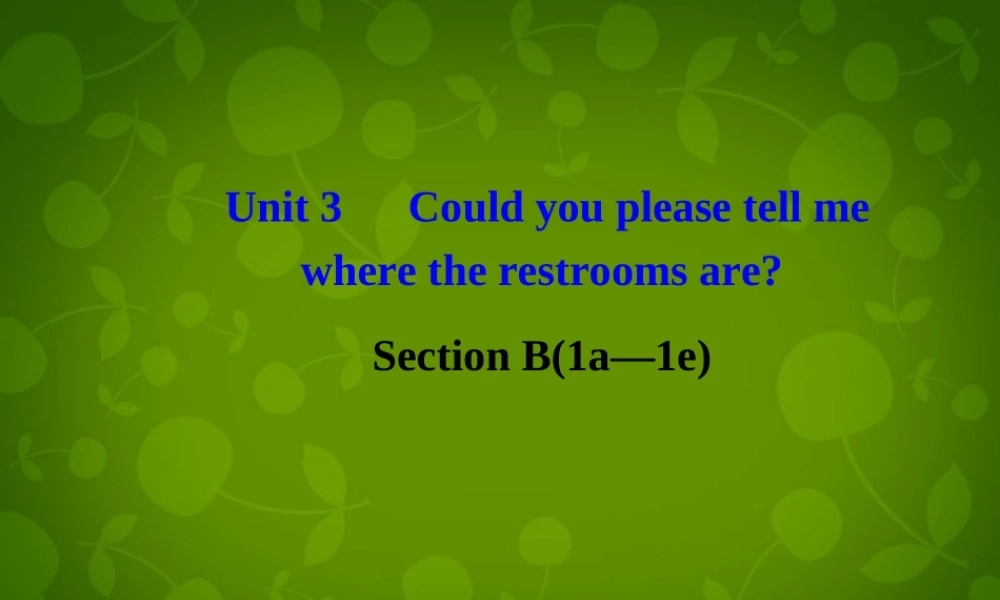 河北省东光县第二中学九年级英语全册 Unit 3 Could you please tell me where the restrooms are Section B 1课件 （新版）人教新目标版.ppt