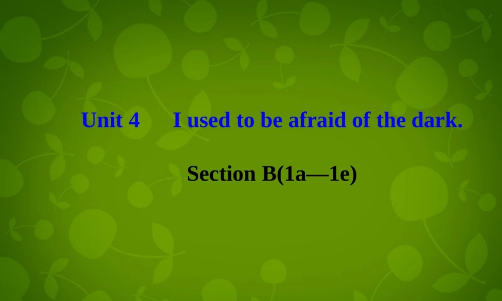 河北省东光县第二中学九年级英语全册 Unit 4 I used to be afraid of the dark Section B（1a-1e）课件.ppt