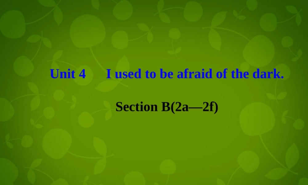 河北省东光县第二中学九年级英语全册 Unit 4 I used to be afraid of the dark Section B（2a-2f）课件.ppt