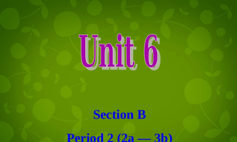 河北省东光县第二中学九年级英语全册 Unit 6 When was it invented Section B 2课件.ppt