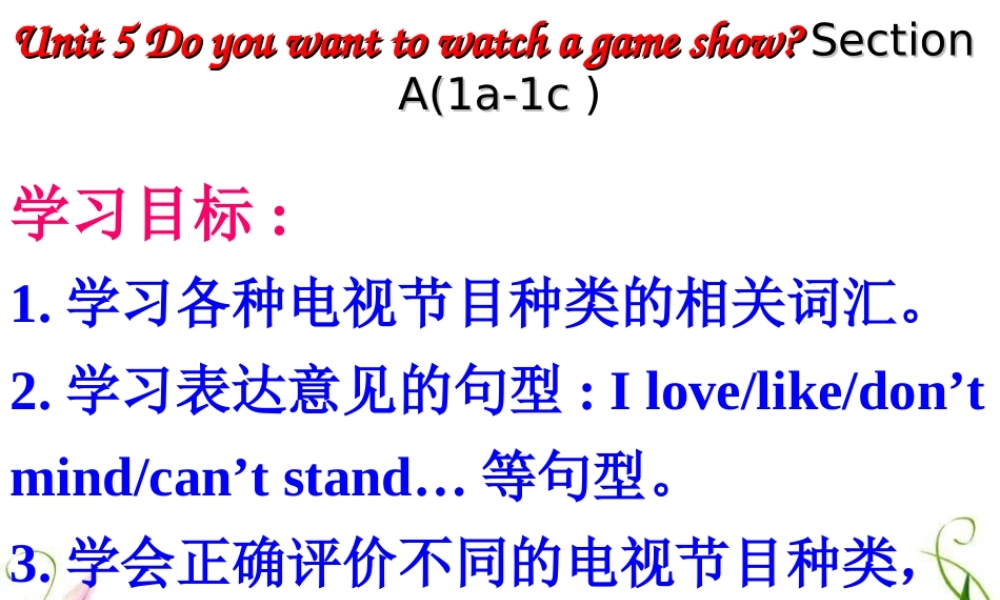 湖北省北大附中武汉为明实验学校八年级英语上册 Unit 5 Do you want to watch a game show Section A（1a-1c）课件.ppt