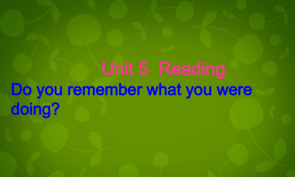 湖北省北大附中武汉为明实验学校八年级英语下册 Unit 5 What were you doing when the rainstorm came（第3课时）课件 .ppt