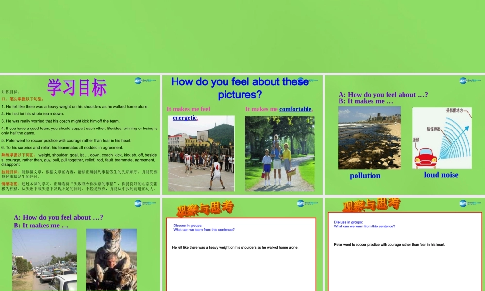 湖北省松滋市涴市镇初级中学九年级英语全册 Unit 11 Sad movies make me cry Period5课件.ppt