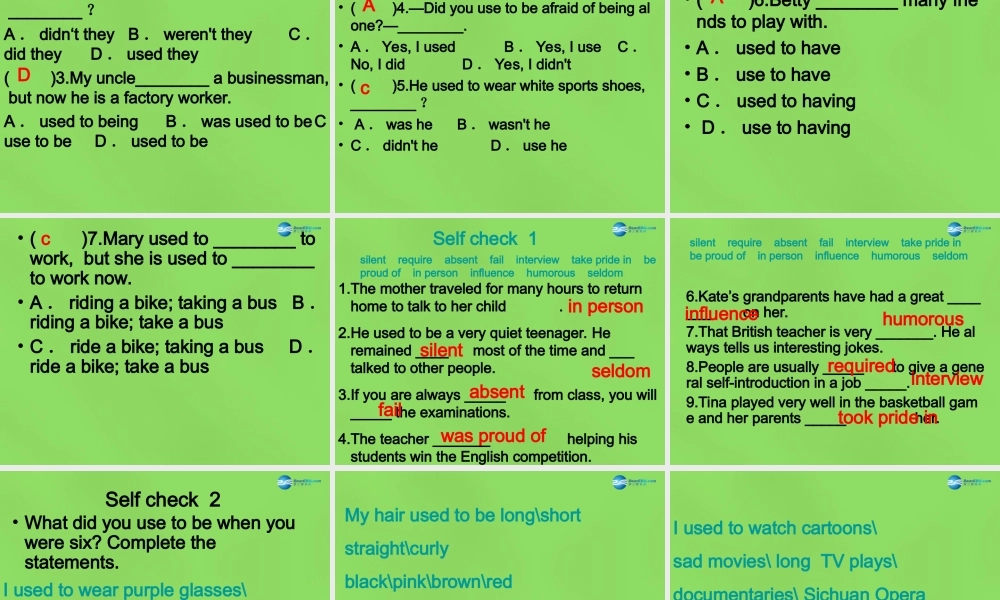 湖北省松滋市涴市镇初级中学九年级英语全册 Unit 4 I used to be afraid of the dark Period9课件.ppt