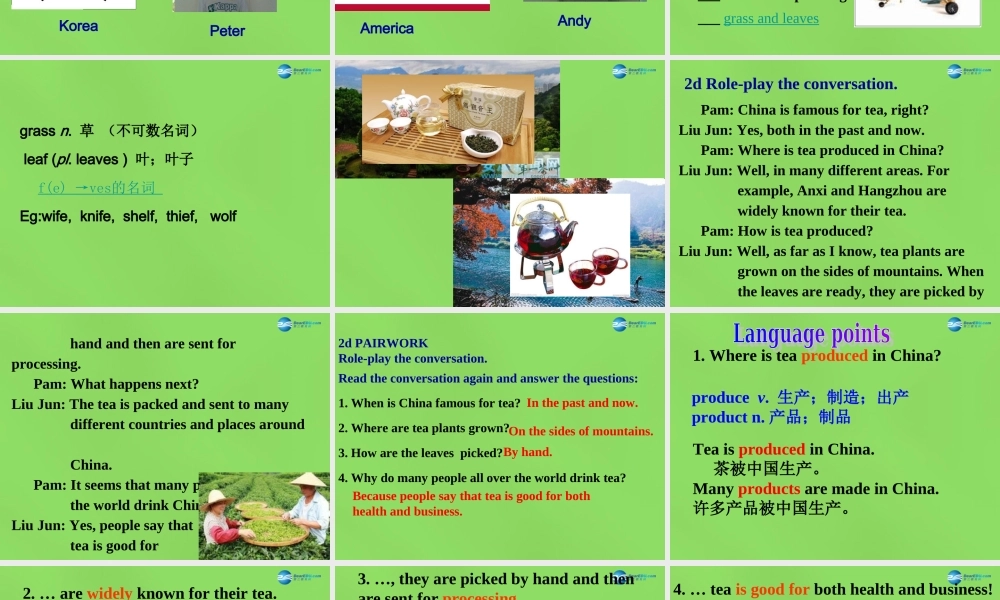 湖北省松滋市涴市镇初级中学九年级英语全册 Unit 5 What are the shirts made of？Section A(2a-2d)课件.ppt