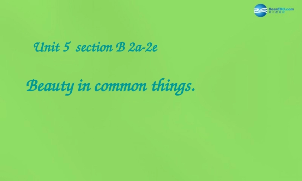 湖北省松滋市涴市镇初级中学九年级英语全册 Unit 5 What are the shirts made of？Section B(2a-2e)课件.ppt