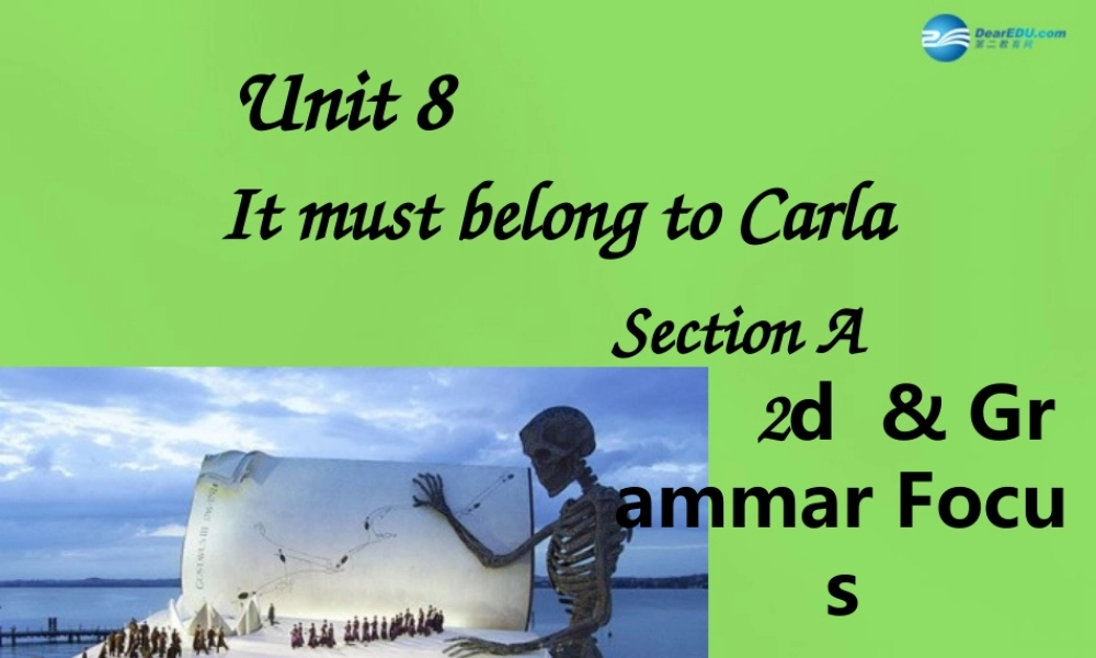 湖北省松滋市涴市镇初级中学九年级英语全册 Unit 8 It must belong to Carla Section A 2d&Grammar Focus课件.ppt