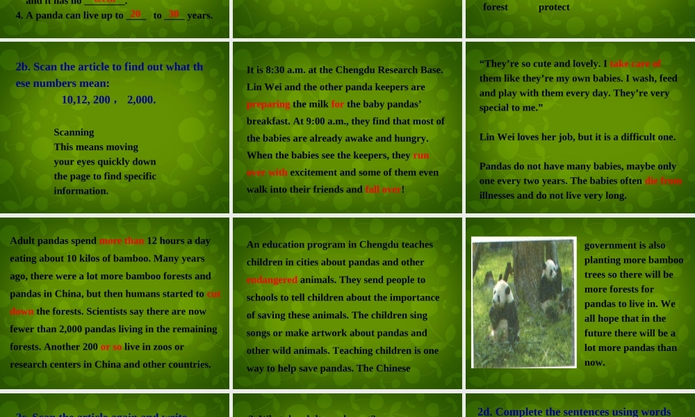 湖北省荆州市沙市第五中学八年级英语下册 Unit 7 What’s the highest mountain in the world课件3 .ppt