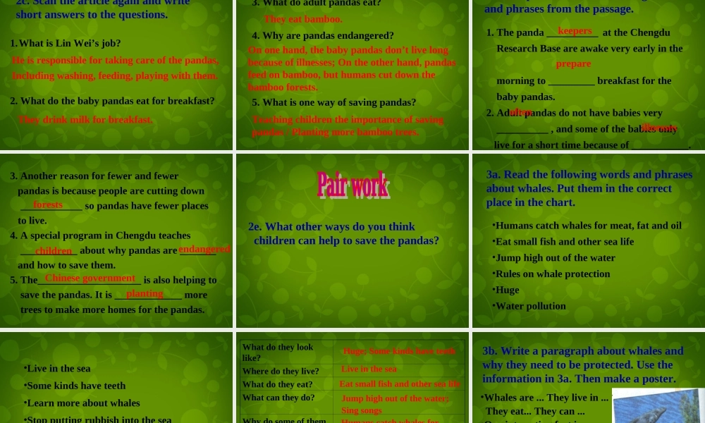 湖北省荆州市沙市第五中学八年级英语下册 Unit 7 What’s the highest mountain in the world课件3 .ppt